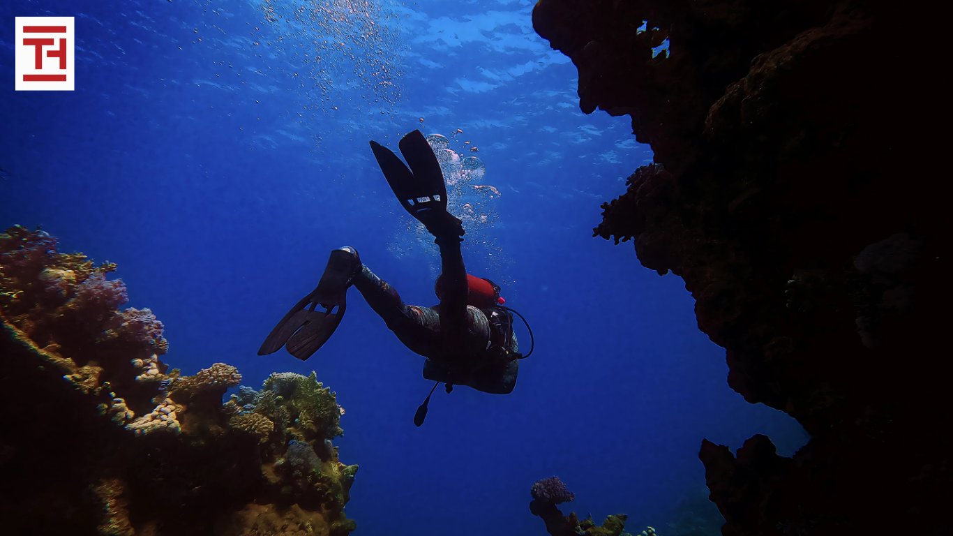 Scuba Gear Hangers