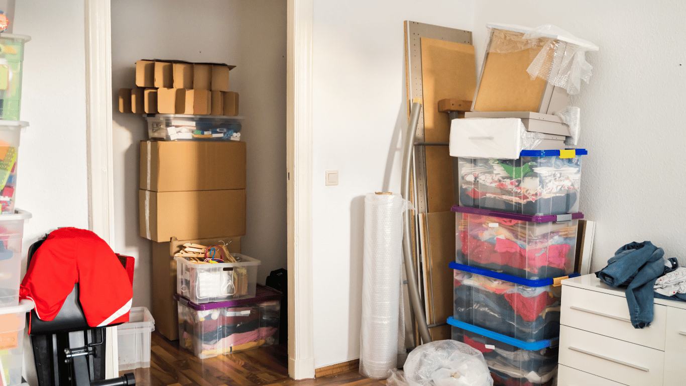 Organization (1) Organization