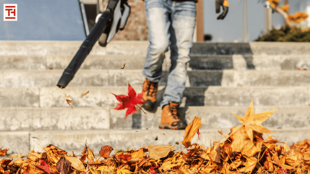 Fall