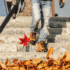 Fall