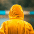 Raincoats